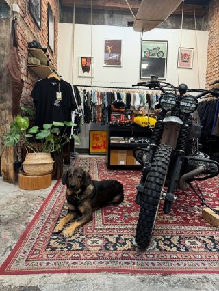 Yes, we are dog friendly store! 🐶